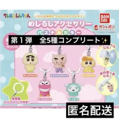 クレヨンしんちゃんめじるしアクセサリー1 パステルカラー　全5種　コンプリート✨