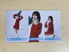 日向坂46 大野愛実 生写真 2024 サンタ衣装 コンプ - メルカリ