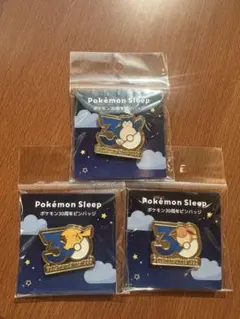 ポケモンスリープ カビゴン ピンバッジ 巾着 マグネット+会員証 4点