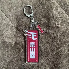 ナンバープレート風キーホルダー　宗山塁 2025年最新】宗山塁 キーホルダーの人気アイテム - メルカリ