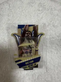 琉球ゴールデンキングス 2024-2025 ヴィック・ロー