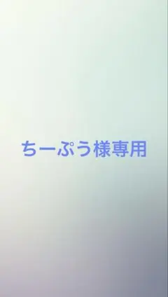 ちーぷう様専用