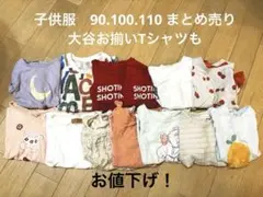 /最終値下げ/子供服まとめ売り Tシャツトップス 13点90.100.110のサムネイル