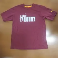 限定 I Like PUMA Tシャツ えんじ色