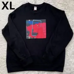 ユニクロ UT×KAWS アンディ・ウォーホル グラフィック トレーナー　XL