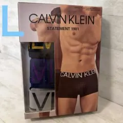 CALVIN KLEIN STATEMENT 1981 ボクサーパンツ　L