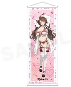 等身大タペストリー 睡蓮 閃乱カグラ 爆乳ハイパーWEBくじ 閃乱カグラ 爆乳ハイパーWEBくじ 8パイ目 A賞 等身大タペストリー 鴇