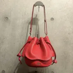 COACH 花柄 巾着 ショルダーバッグ レザー ドローストリング F57543