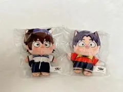 【匿名配送】忍たま ほわぬい ナンジャ 摂津のきり丸 土井半助②