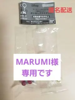 専用【未開封】ディズニーキャラクター 松本セイジ めじるしアクセサリー 2種