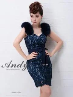 ANDY/アンディファー付き総レース/ タイトミニドレス/ キャバドレス S
