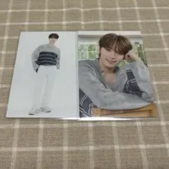 SEVENTEEN HOME 2023 トレカ ディノ