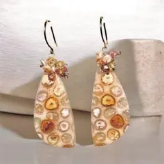 フォッシルコーラルのピアスです