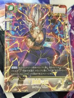 ドラゴンボール フュージョンワールド 孫悟飯:SH SCR☆ 神龍への願い