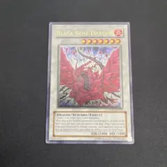 2025年最新】ブラックローズドラゴン レリーフ 英語の人気