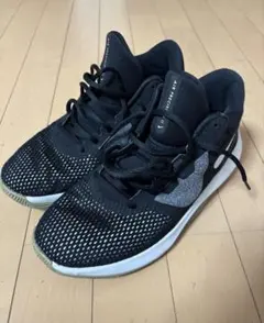 Nike スニーカー ブラック/グレー