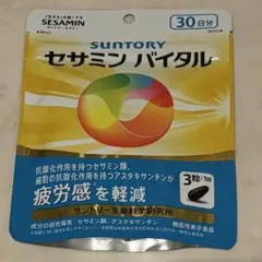 Item thumbnail for item e4323def-d508-48f5-93c3-cc1251af581d