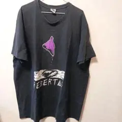 グラフィックtシャツ Tシャツ