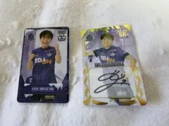 2026年最新】オンサイトカード サンフレッチェ広島の人気アイテム