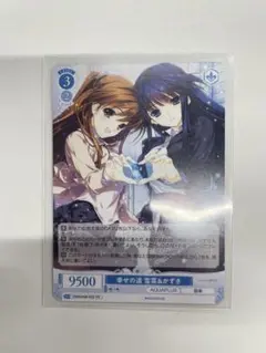 2026年最新】ヴァイスシュバルツロゼの人気アイテム - メルカリ