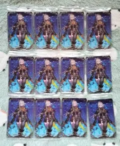 Fate/Grand Order ウエハース14 呼延灼 12枚