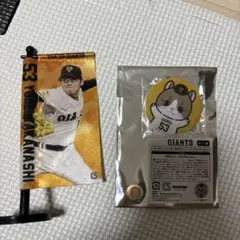 ジャイアンツ 高梨雄平 ミニのぼり＆アクリルステッカー