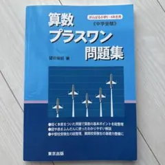 算数プラスワン問題集