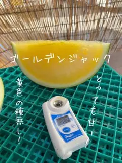 ぷぅ様 リクエスト 2点 まとめ商品