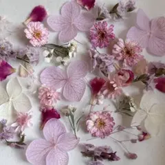 ドライフラワー 小花の詰め合わせ 496 - メルカリ
