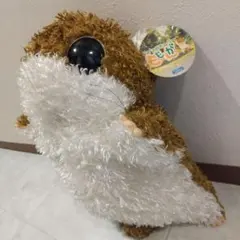 極美品】あらいぐま ファースト社 昭和レトロ べべちゃん - メルカリ
