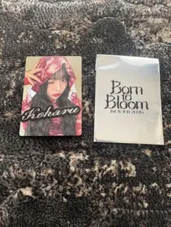 HANA KOHARU トレカ