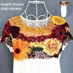 ISSEY MIYAKE PLEATS PLEASE珊瑚礁マルチカラーsize3 - メルカリ