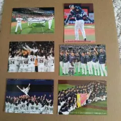 カルビー プロ野球 トレーディングカード 6枚セット