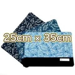 3枚セット [恐竜柄] 給食ナフキン No.111513