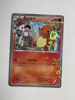 2026年最新】シリーズ：XY／XYBREAK ポケモンカードゲームの人気