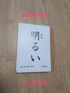 不足なし】家庭保育園 たのしい絵カード「1. 身体名称」知育