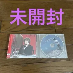 luz sister 初回盤　未開封　特典DVD付き