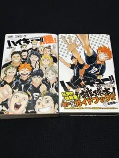 ハイキュー!! ファイナルガイドブック 排球極!　排球本！　2冊セット