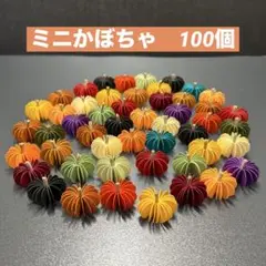 ミニかぼちゃ　100個