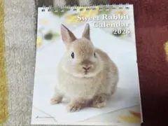 Item thumbnail for item 72b3fe51-0193-4144-96d4-c58f76f71bbb