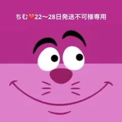 ③ちむ❤️22〜28日発送不可様専用　ネコポスサイズ詰め放題