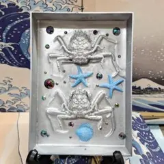 2026年最新】平家蟹の人気アイテム - メルカリ
