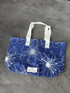 Item thumbnail for item 68f6015a-bd08-4c0e-88ec-f44880452dc9