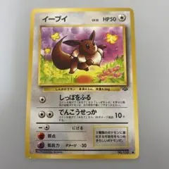 イーブイ ● 第2弾拡張パック ポケモンジャングル