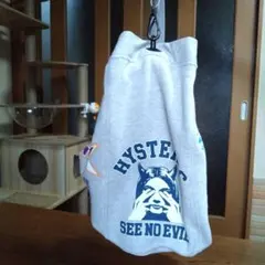 HYSTERIC GLAMOUR 音楽テーマ ショルダーバッグ