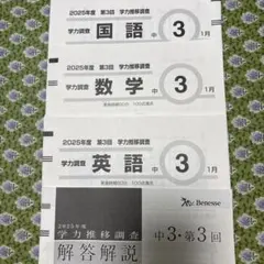2025年度 中3 第3回 ベネッセ学力推移調査のサムネイル