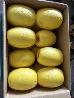 Item thumbnail for item 97ffb893-cd9e-404c-b149-a2facb946302