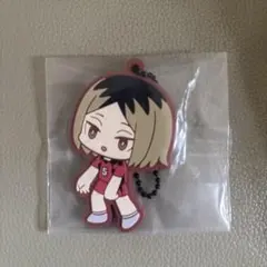 一番くじハイキュー!!〜全国への道〜 H賞 孤爪研磨