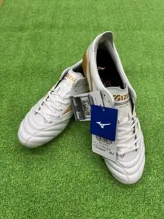 2026年最新】モレリアネオ4 26.0の人気アイテム - メルカリ