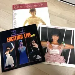 松田聖子　カレンダー　パンフレット　ピンナップ